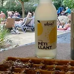 Mobil-home Pmr Avec Terrasse Pour 4 Pers. - Api-1-52-1668 مكان تخييم